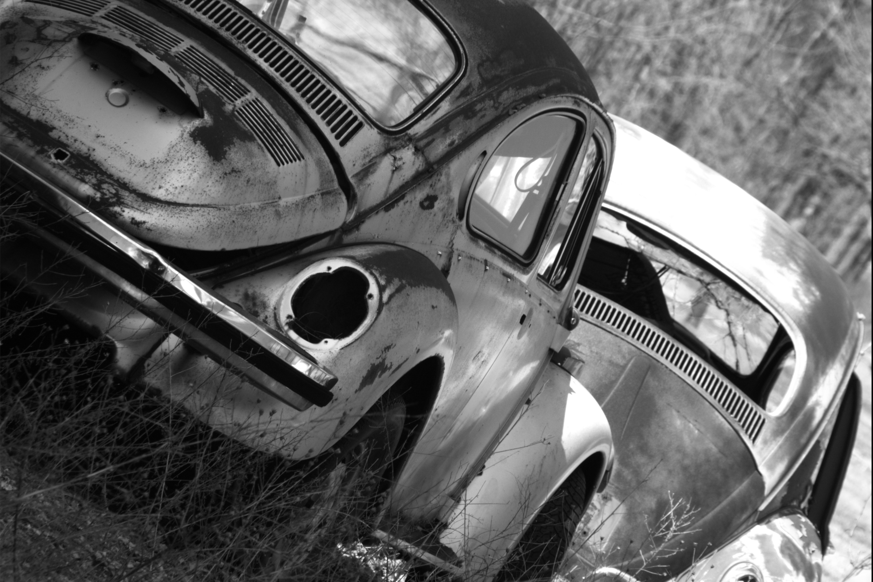 punch buggy South West VWs